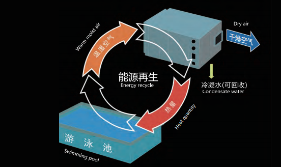 室內(nèi)游泳池除濕機