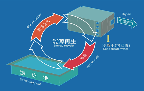 泳池除濕機廠家